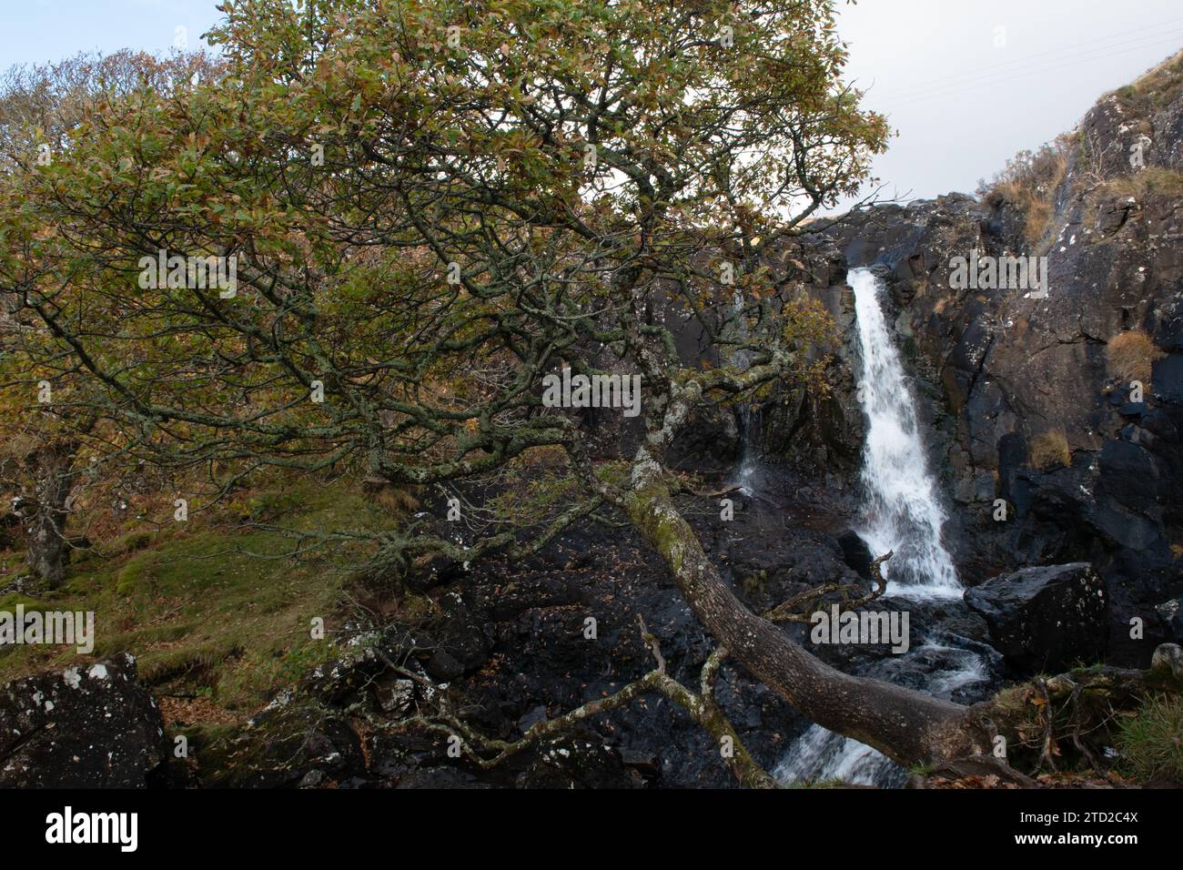 Eas Fors Wasserfall, Isle of Mull, Schottland Stockfoto