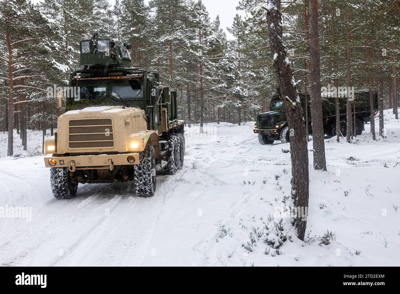 U.S. Marines mit Combat Logistics Battalion 6, Combat Logistics Regiment 2, 2nd Marine Logistics Group, reagiert auf simulierte Bedrohungen mit Medium Tactical Vehicle Replacement bei Offensive- und Defensivoperationen in Syndalen, Finnland während Exercise Freezing Winds 23 (FW23), November 30, 2023. FW23 ist ein von Finnland geleitetes maritimes Übungsprogramm, an dem die US-Marines der Rotationstruppe Europa und die US-Marinestreitkräfte Europa teilnehmen; das Übungsprogramm dient als Schauplatz zur Verbesserung der Bereitschaft der finnischen Marine und zur Verbesserung der Interoperabilität der US-amerikanischen, finnischen und NATO-Partner in den Einsatzlogis Stockfoto