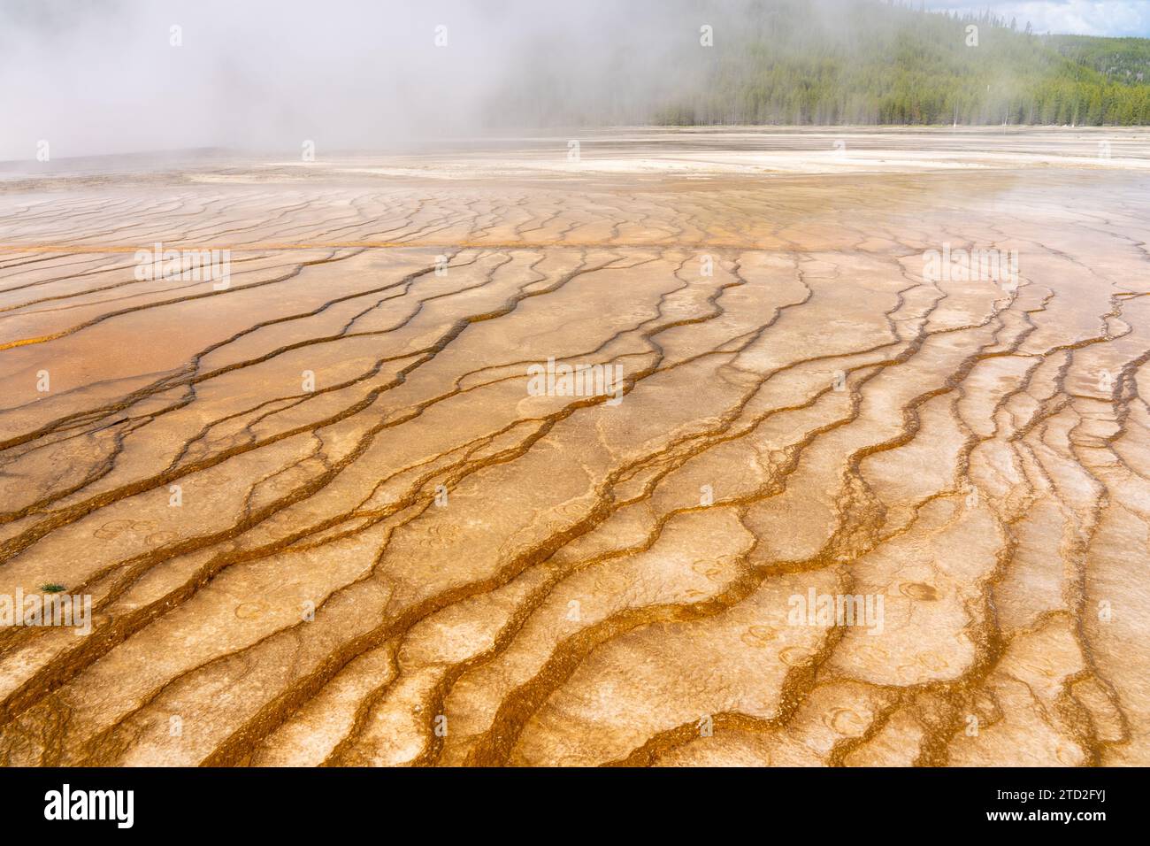Ansicht des Yellowstone National Park in Wyoming, USA. Stockfoto