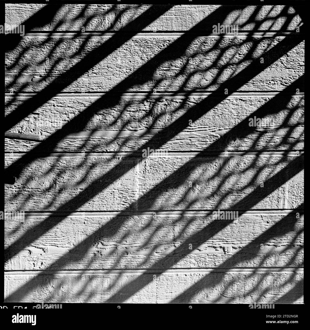 HB47015-00....SOUTH DAKOTA - Schatten der Stufen an einer Mauer in der Stadt Wall. Hasselblad 500c/m Kamera mit Ilford FP4 Plus Film. Stockfoto