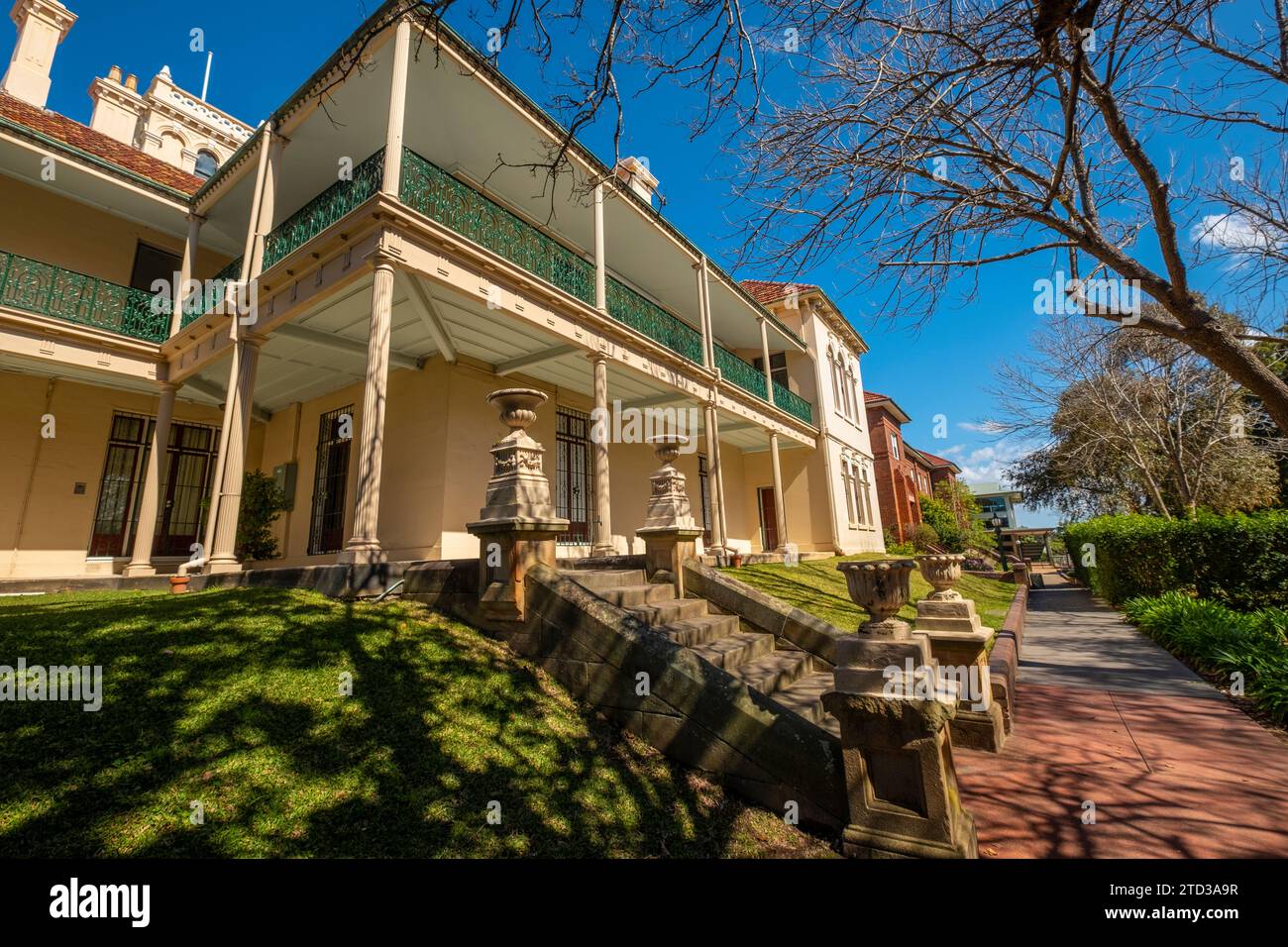 Viktorianische Reihenhäuser in Glebe, Sydney, NSW, Australien. Stockfoto