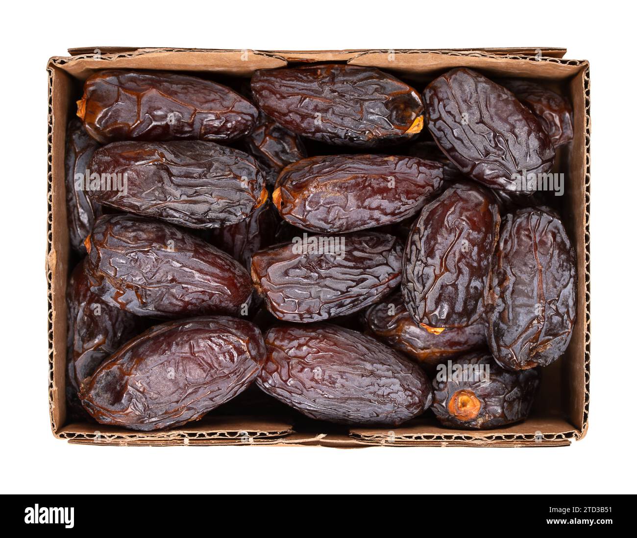 Medjool Dates in einem Papppunnet. Sonnengetrocknete, große, weiche und süße Anbaufläche, Phoenix dactylifera. Stockfoto