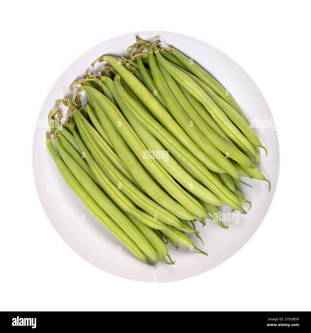 Frische grüne Bohnen in einer weißen Schüssel. Junge, unreife Früchte einer Sorte der gewöhnlichen Bohnen oder auch der französischen Bohnen Phaseolus vulgaris. Nahaufnahme, isoliert. Stockfoto