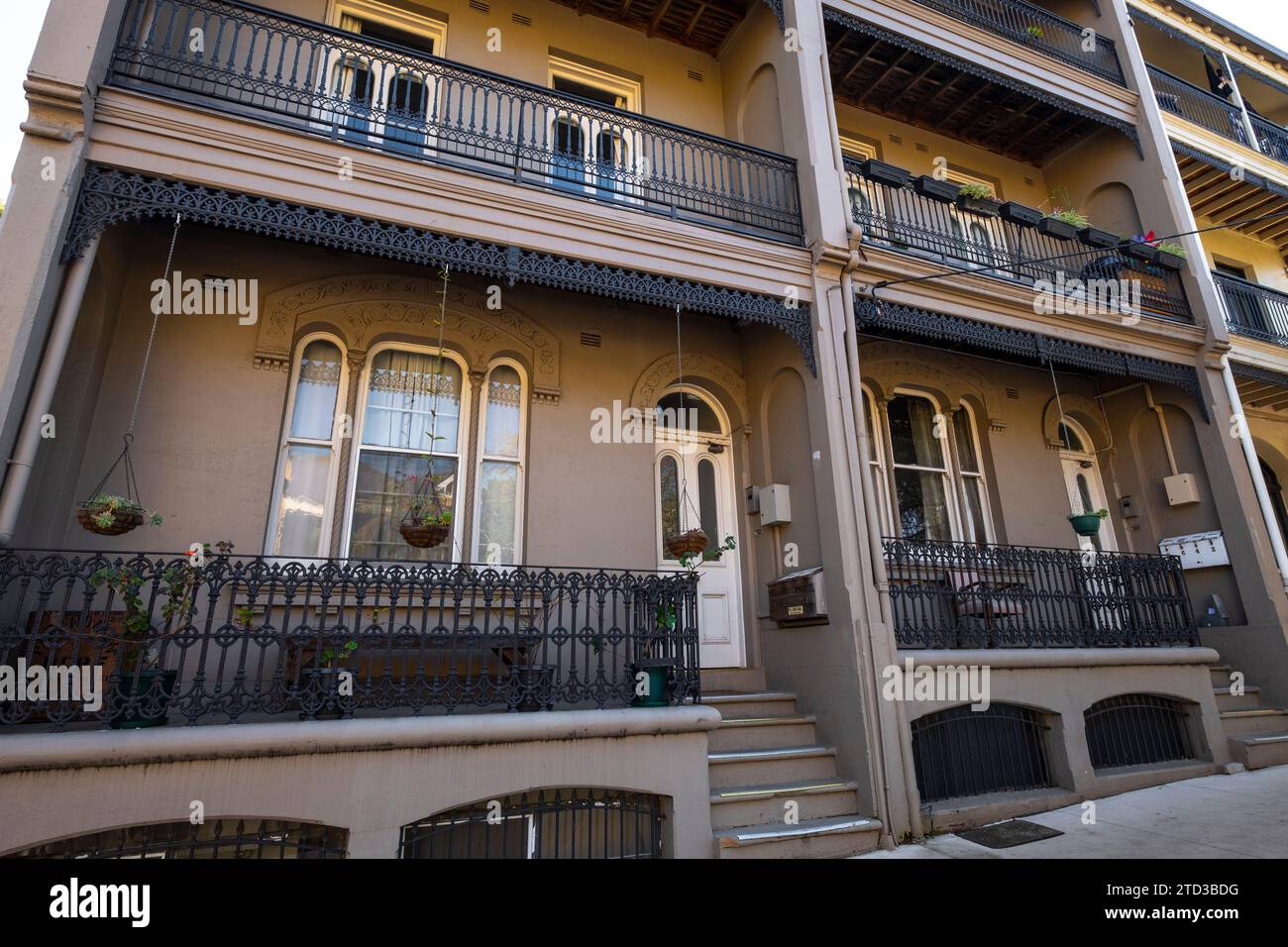 Viktorianische Reihenhäuser in Glebe, Sydney, NSW, Australien. Stockfoto
