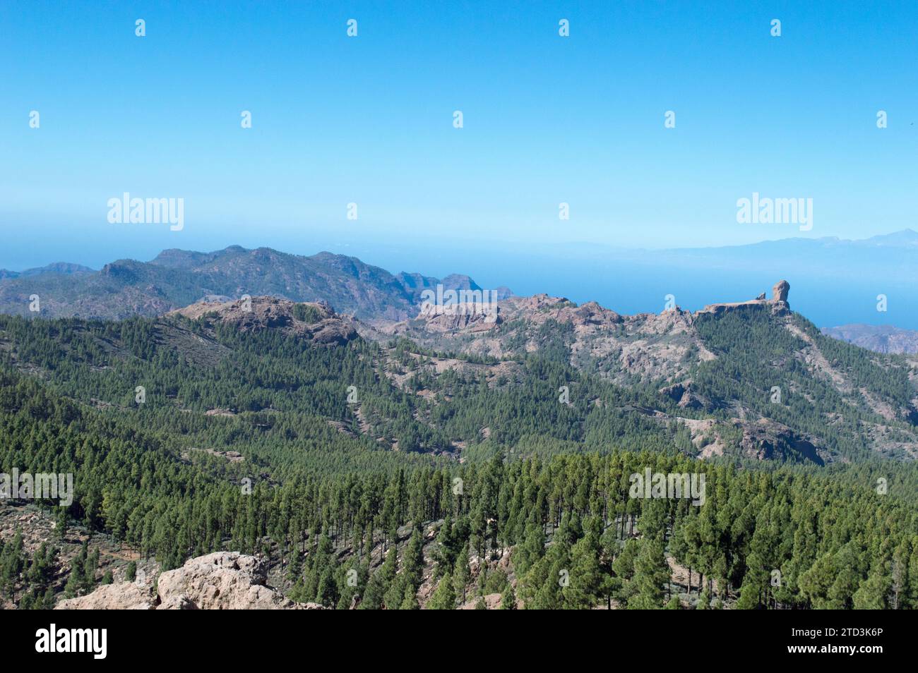 Vista desde el mirador del Pico de las Nieves Stockfoto