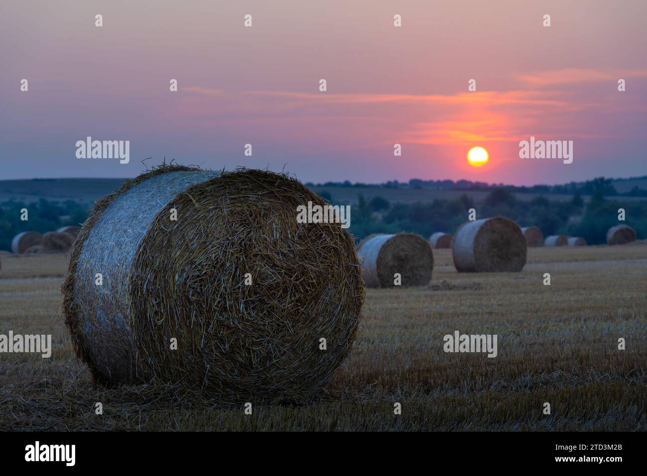 Sonnenuntergang über einer landwirtschaftlichen Landschaft mit runden Bündeln trockenem Heu Stockfoto