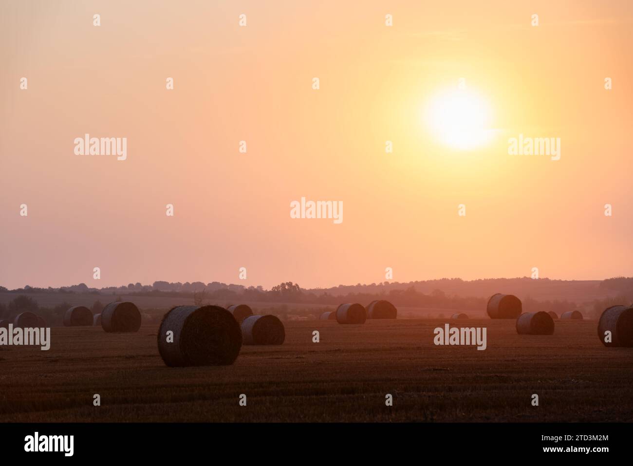 Sonnenuntergangshimmel glüht auf runden Heuballen auf einem landwirtschaftlichen Feld. Ländliche Landschaft mit Strohrollen und dramatischem Sonnenaufgangshimmel Stockfoto