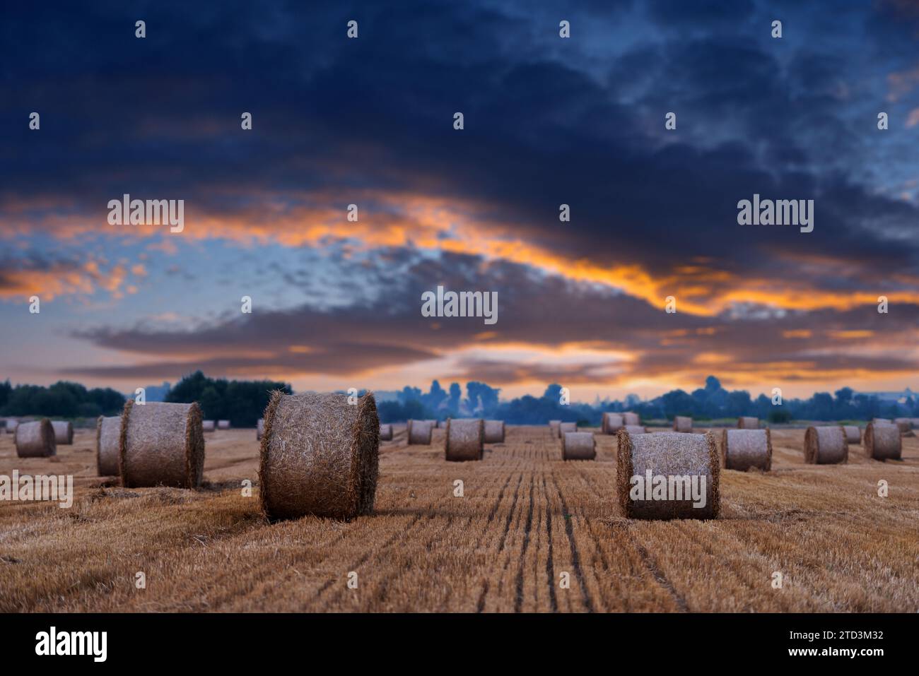 Die Sonne untergeht hinter einer landwirtschaftlichen Fläche, die mit abgerundeten Heubündeln geschmückt ist. Ländliche Landschaft mit Strohrollen und dramatischem Sonnenuntergang Stockfoto
