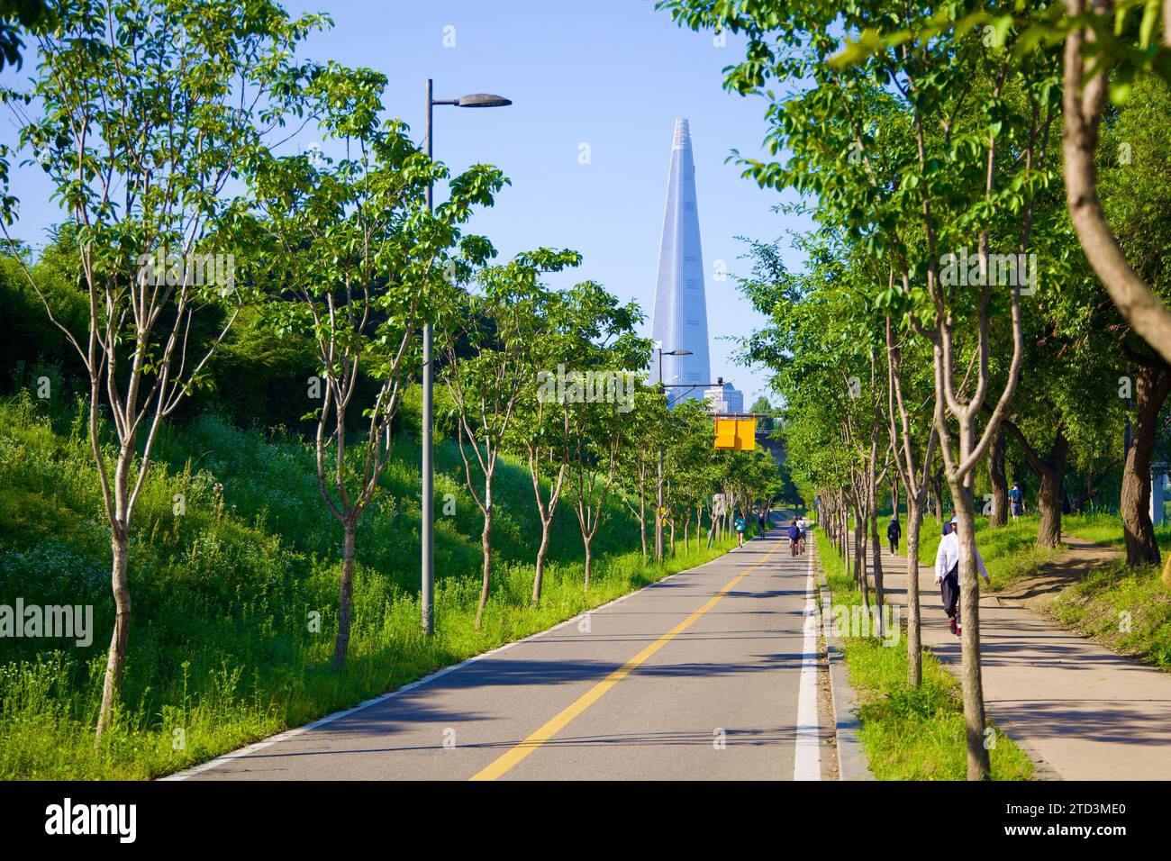Seoul, Südkorea - 2. Juni 2023: Ein Radweg im Gwangnaru Hangang Park mit dem imposanten Lotte Tower im Hintergrund und Wanderwegen Stockfoto
