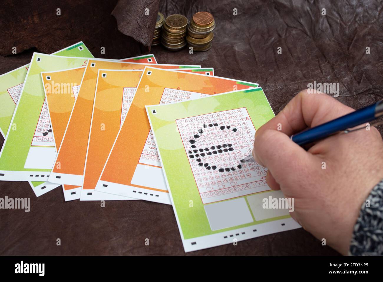 Männliche Hand, die Zahlen auf einem Lottoschein in Form eines Euro-Währungssymbols auf echtem Leder wählt Stockfoto