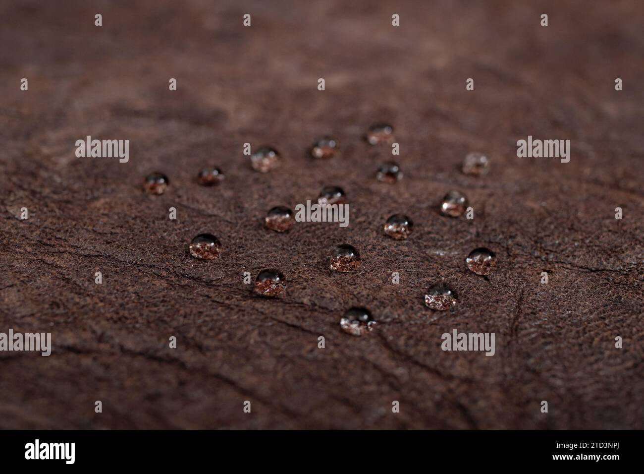 Runde Wassertropfen auf dunkelbrauner Lederstruktur, Seitenansicht, Weichfokus-Makro Stockfoto