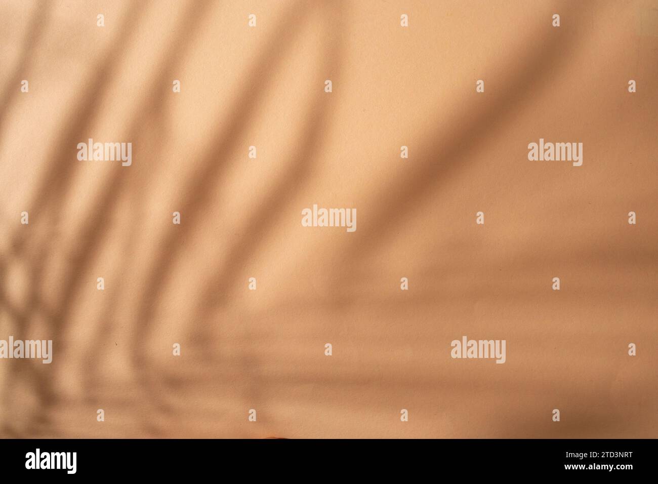 Pfirsichfarbener Hintergrund mit Pflanzenschatten, abstraktem, unscharfen Hintergrund Stockfoto