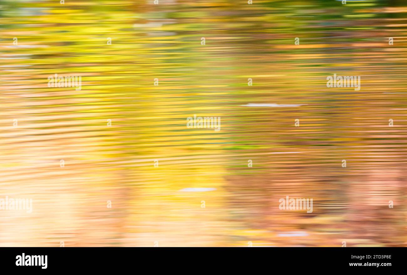 Im Wasser der Bockelsberger Teiche spiegeln sich gelbe, goldene, orange und grüne bunte Herbstblätter, kleine Wellen bilden Linien, Wischeffekt Stockfoto