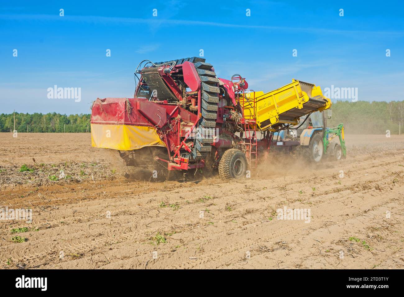 Horvesting of Kartoffo View on Process of Work of Agricultural Concept Stockfoto