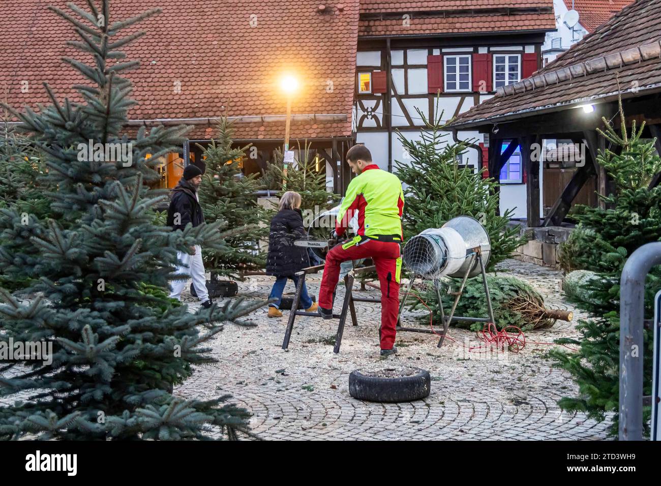 Hoffner Weihnachtsbaumverkauf 2023