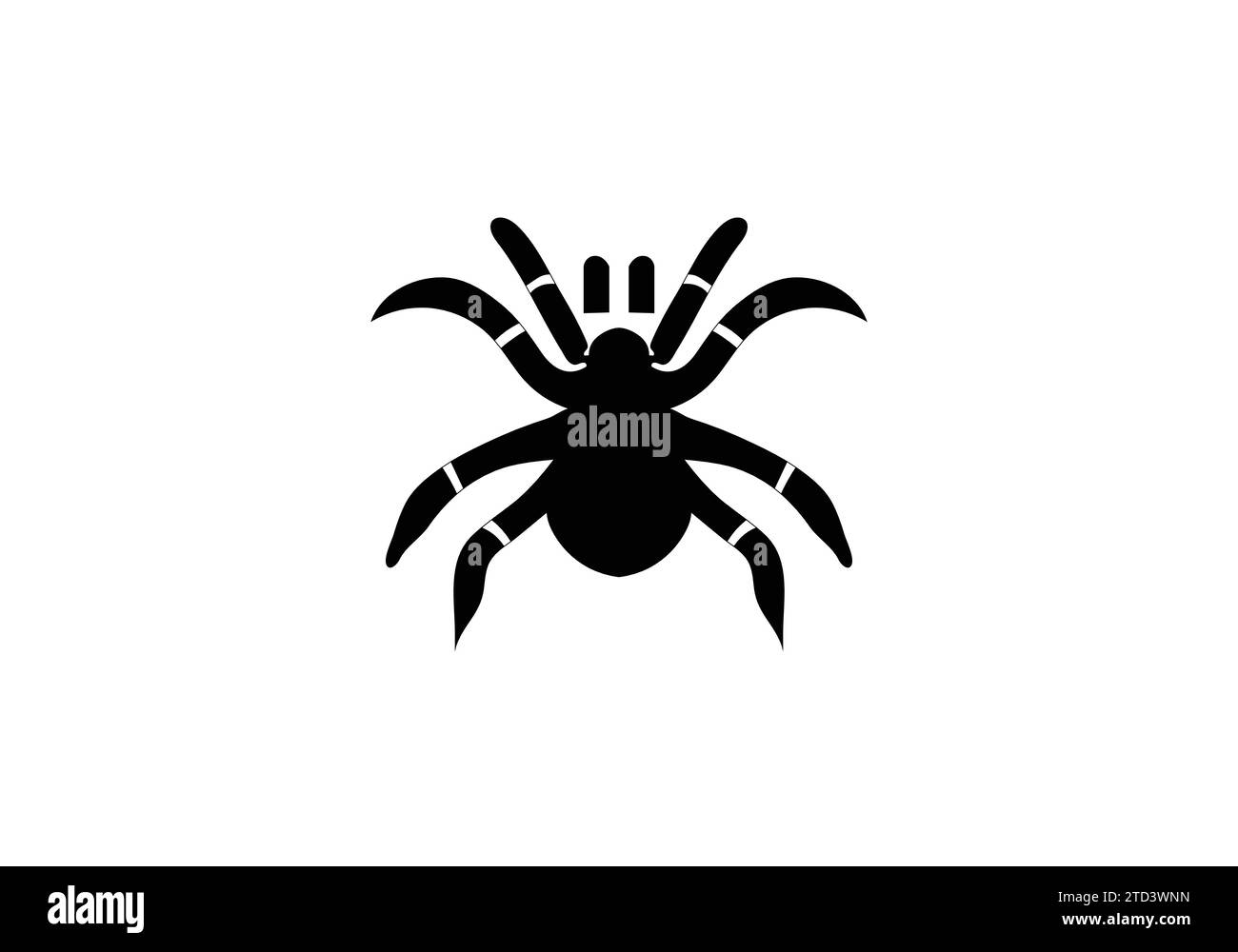 Kalifornische Tarantula im minimalen Stil mit Illustration Stock Vektor