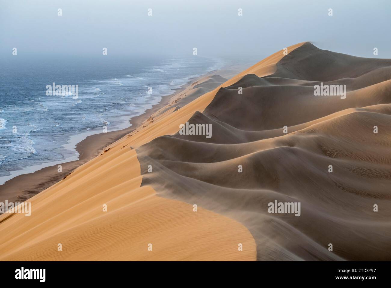 Sanddünen und Meer im Abendlicht, Wind weht Sand über die Dünen, Blick auf die Atlantikküste von hohen Sanddünen, Sandwich Harbour, Namib Stockfoto