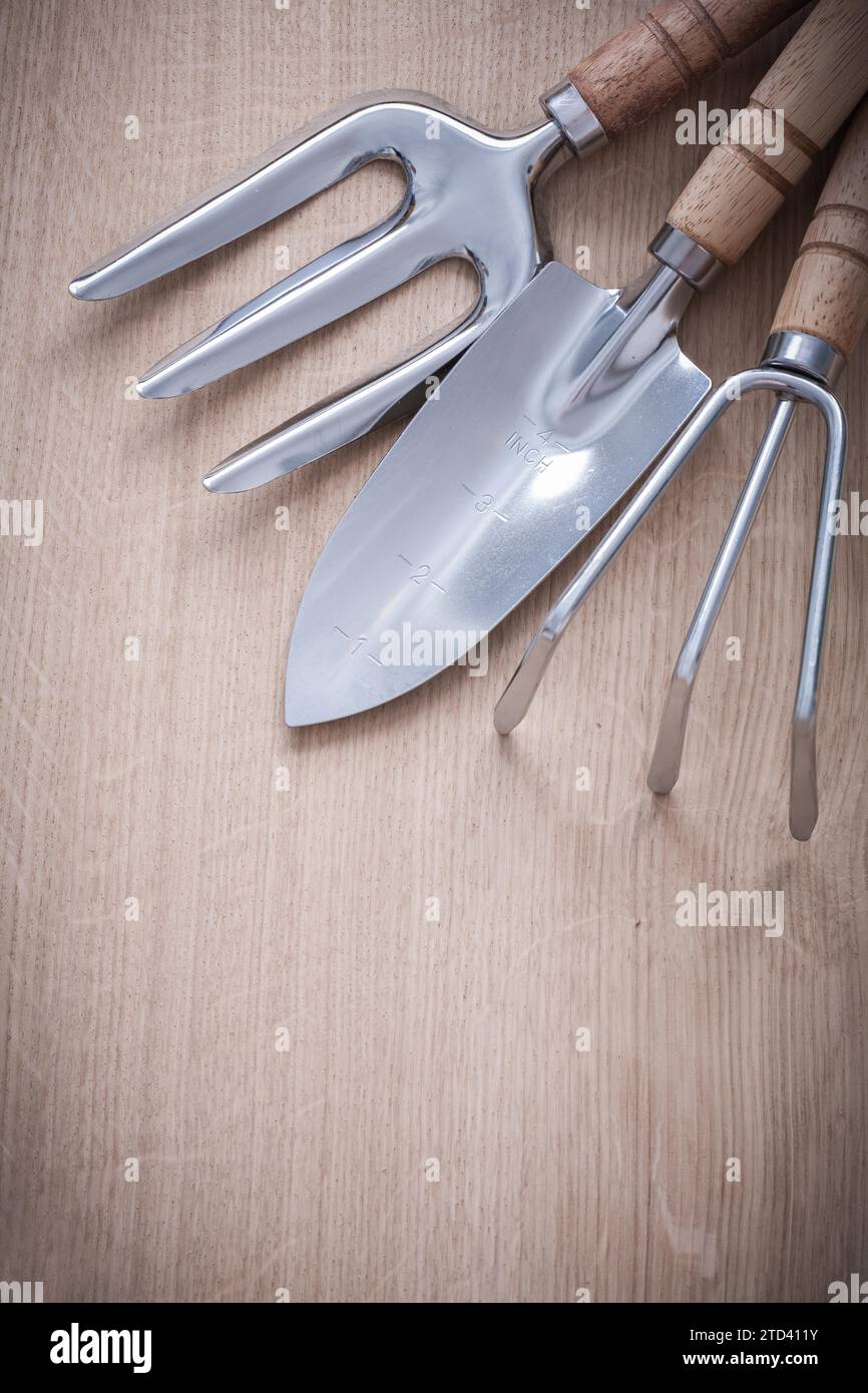 Handspatenkelle aus Edelstahl und Gartenrechen mit Holzgriffen auf Holzbrett Landwirtschaftskonzept Stockfoto