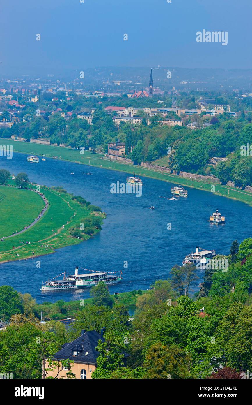 Dampfschiffparade auf der Elbe Stockfoto