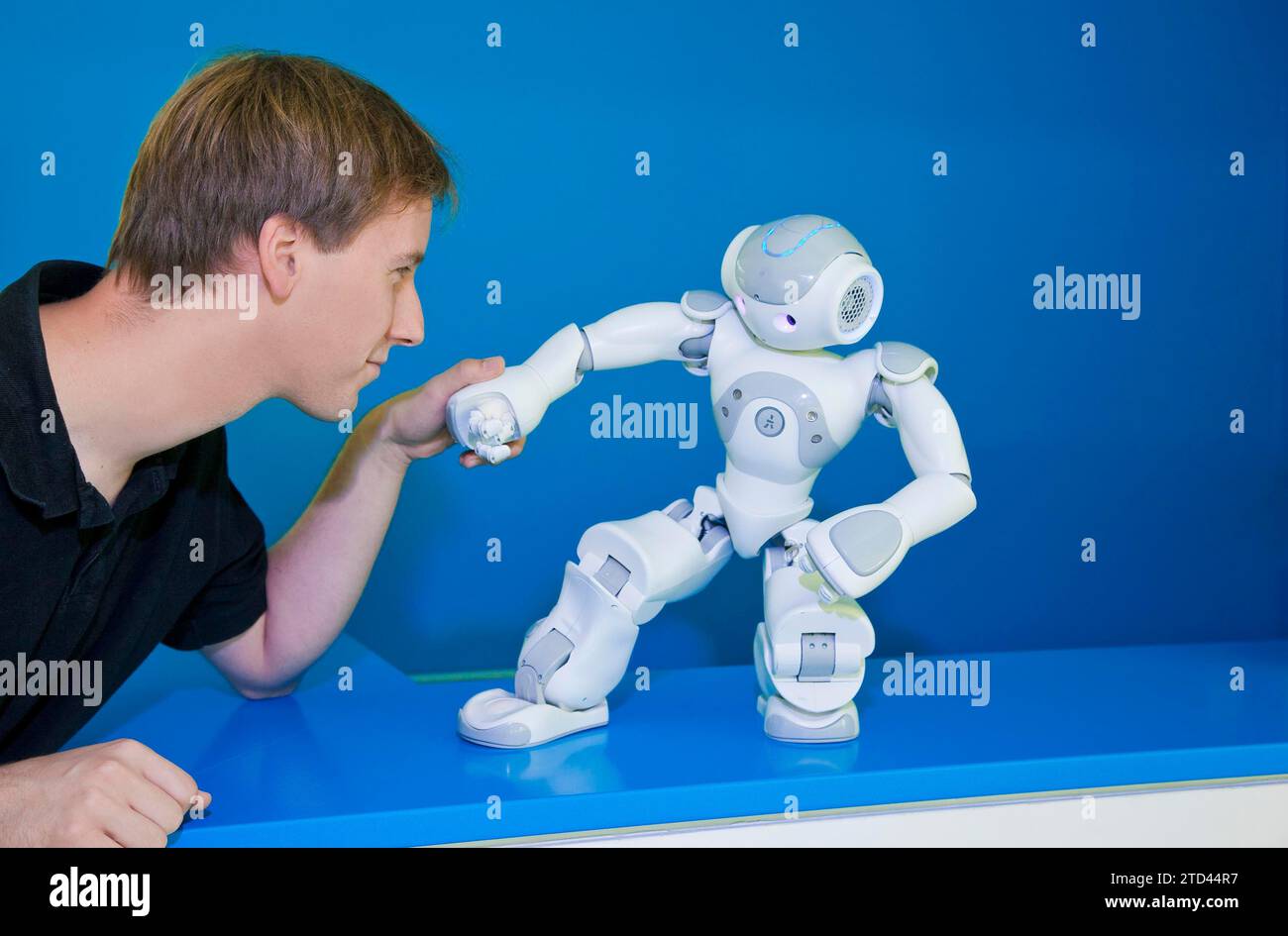 Roboterfutter Stockfoto