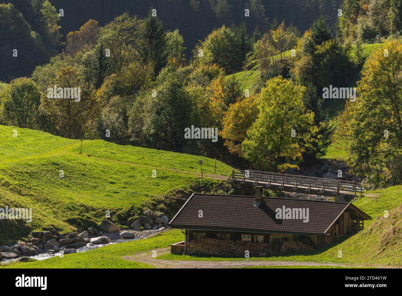 Landwirtschaft, Almweide im Zillergrund, Almweide, Zillerbergbach, Holzbrücke, Zillertaler Alpen, Tirol, Österreich Stockfoto