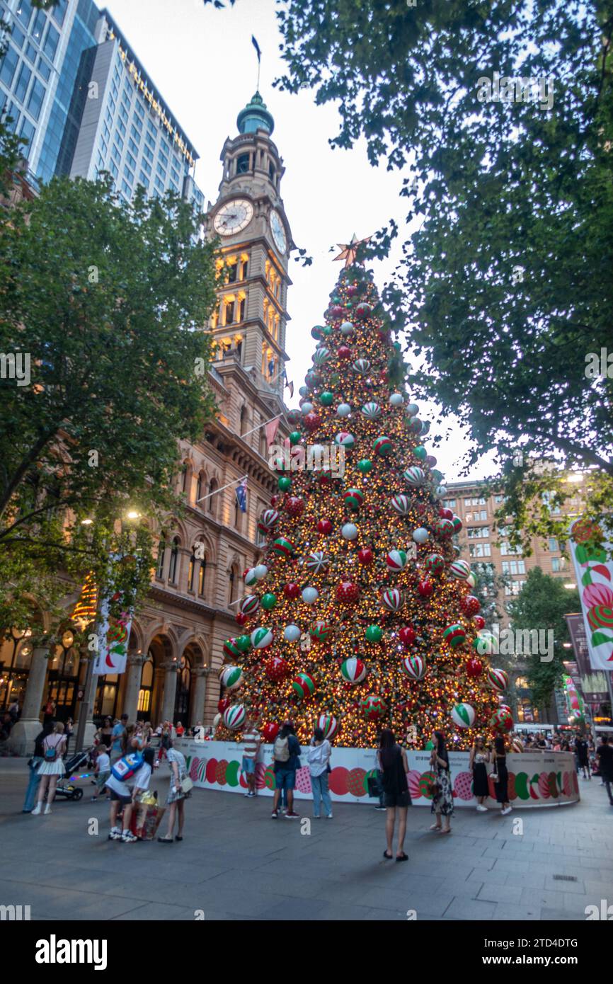 Riesiger, voll dekorierter Weihnachtsbaum im Freien, am Martin Place, Sydney, Australien, im Sommer auf der südlichen Hemisphäre. Menschen, die sich zusammenfinden. Stockfoto