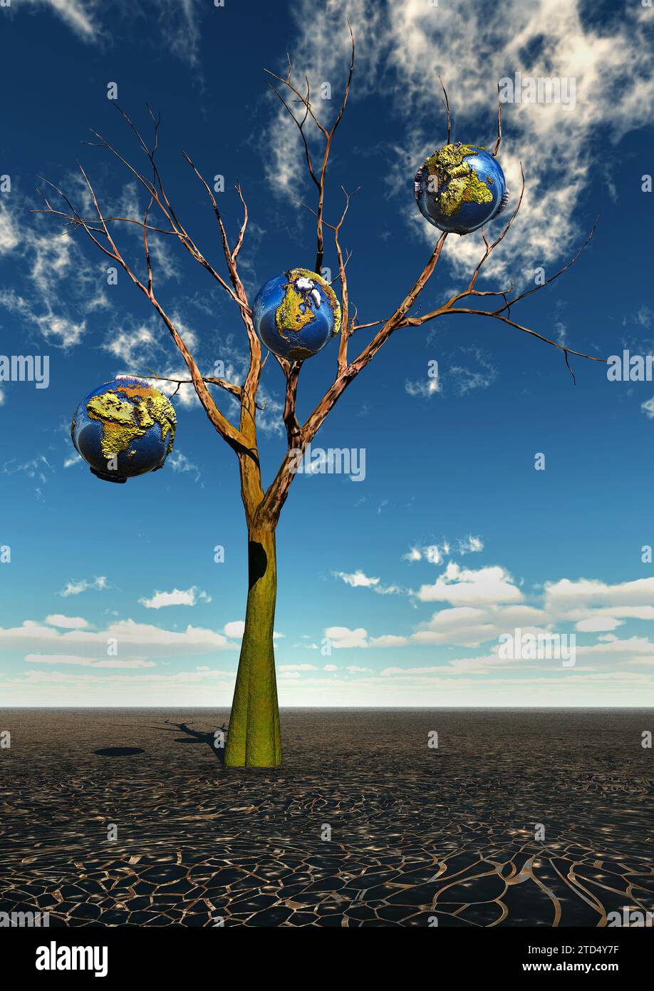 Sterbender Erdbaum Stockfoto