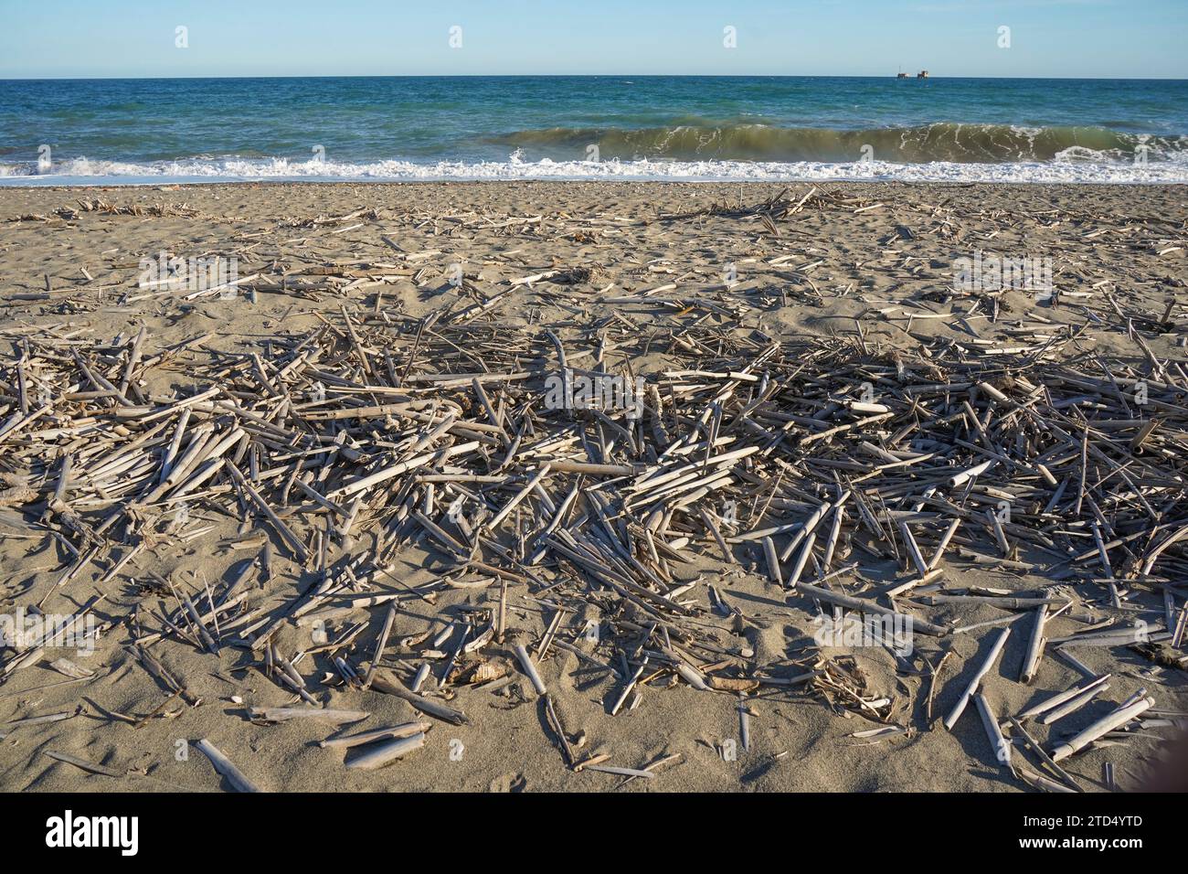 Treibholz wurde an der Küste von Malaga, Spanien, gespült. Stockfoto