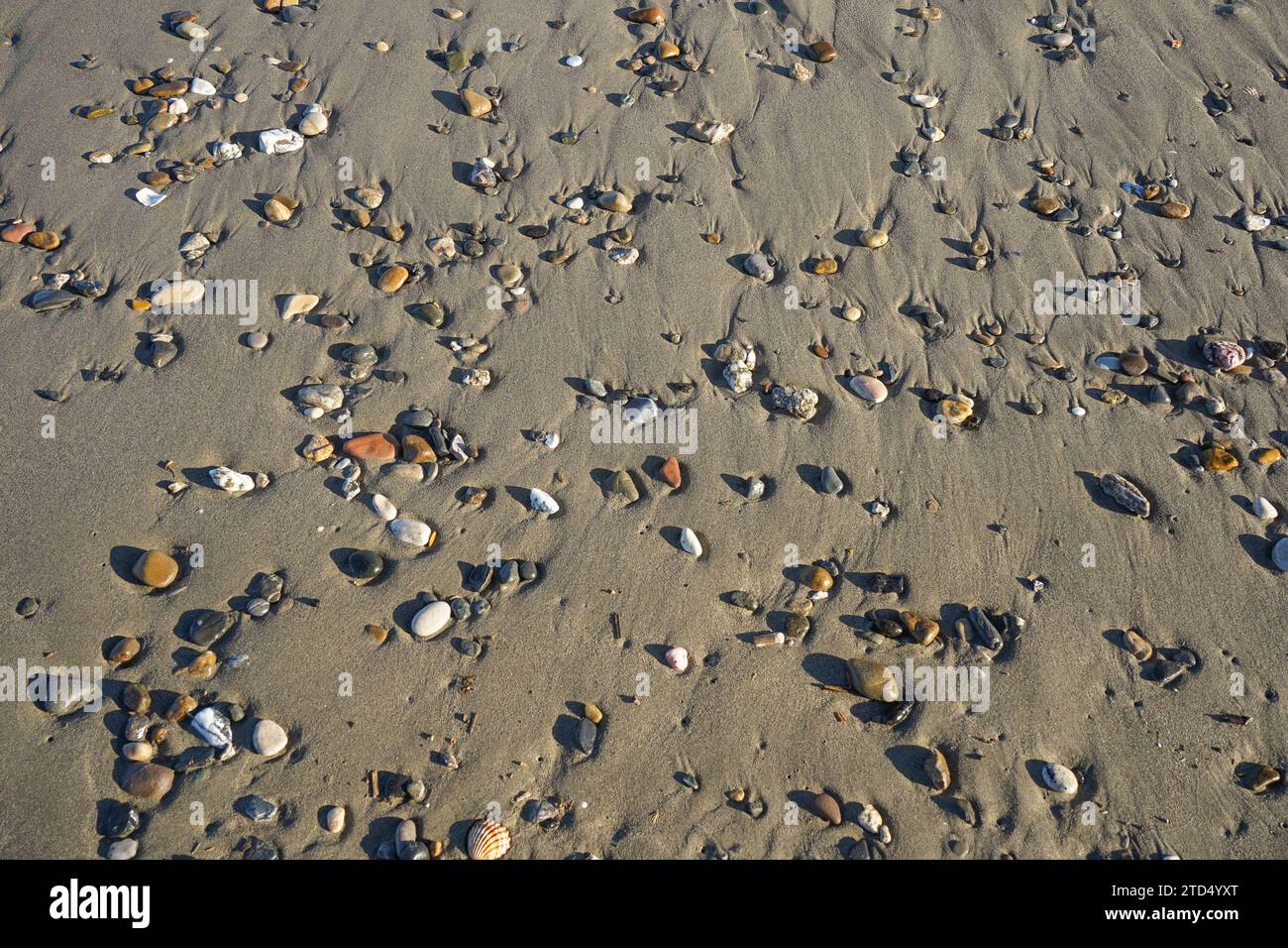 Kieselsteine und Steine im Sand am Strand. Stockfoto