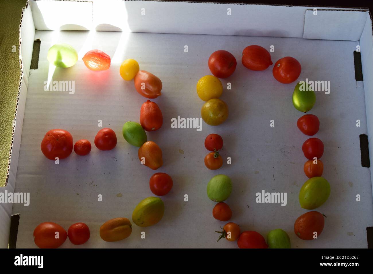 Nummer 30 aus Tomaten Stockfoto