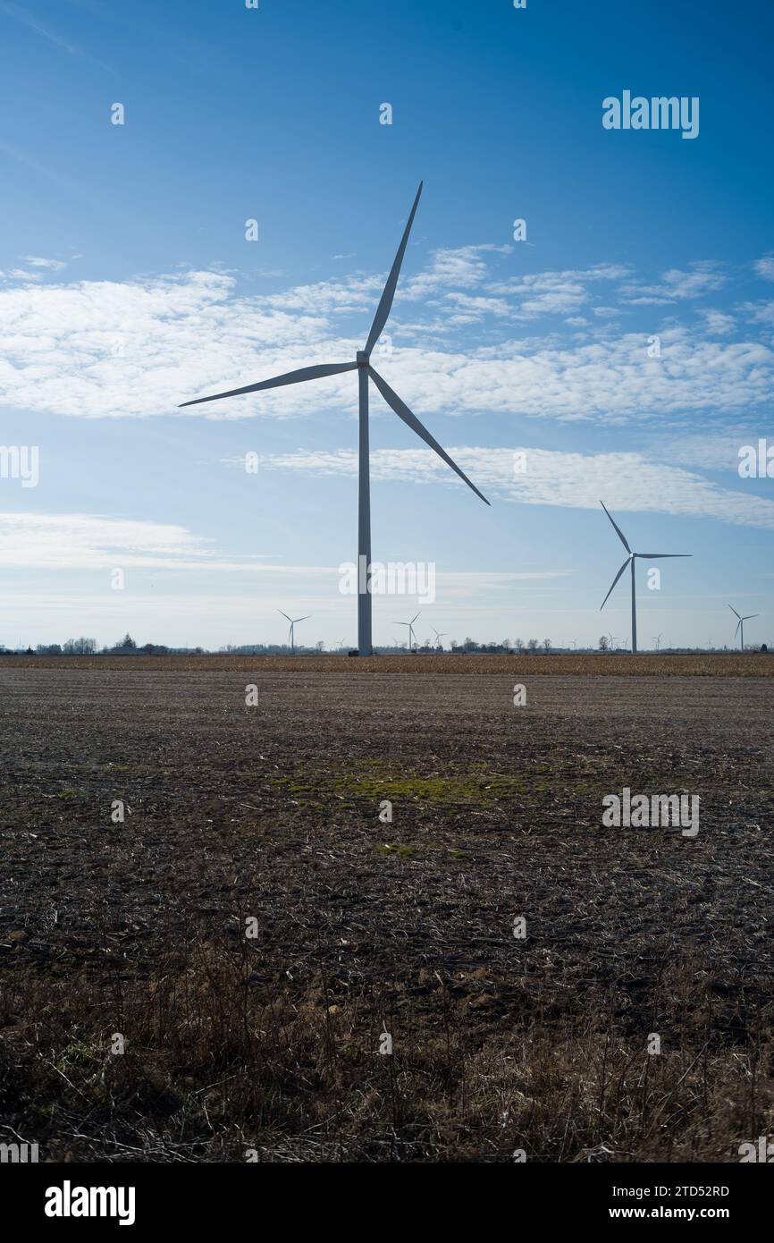 Windturbinen in einem Windpark in Michigans Daumengebiet, Tuscola County Stockfoto