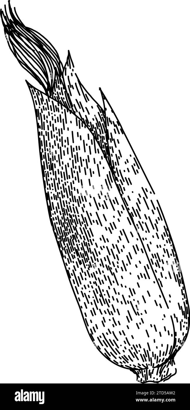 Kornmaisskizze handgezeichneter Vektor Stock Vektor