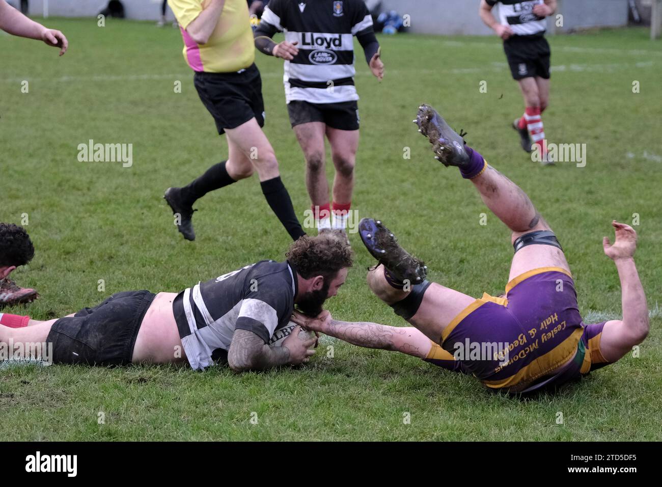 Kelso, Scottish Borders, Großbritannien. Dezember 2023. Das schottische Premiership Rugby am 16. Dezember 2023 im Kelso RFC, Poynder Park. Kelso RFC gegen Marr Rugby Bruce McNeil (Kelso RFC) geht nach seinem 10-minütigen Sin bin restl. HT-Ergebnis 31-07 Credit: Rob Gray / Freelance Credit: Rob Gray/Alamy Live News Stockfoto