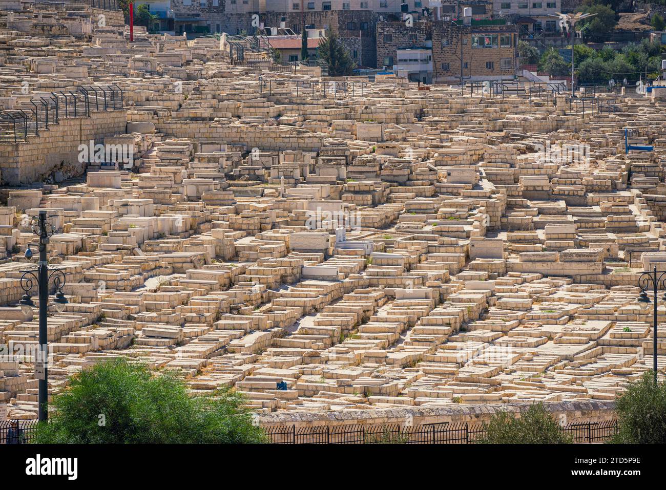 Alter jüdischer Friedhof am Ölberg, Ost-Jerusalem, Israel Stockfoto