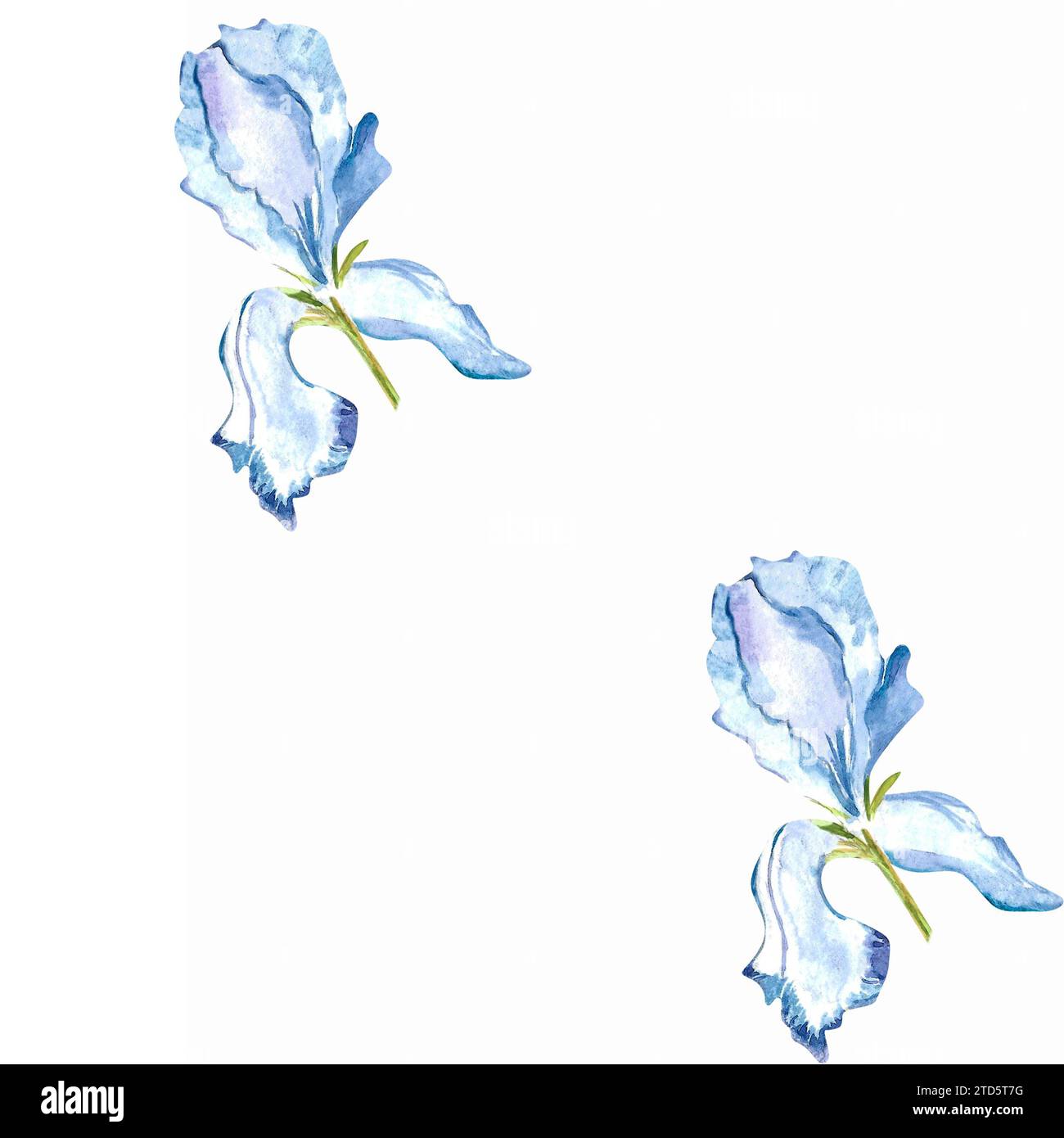 Aquarellblau, nahtloses Muster. Handgezeichnete Illustration mit pastellfarbenen Frühlingsblumen für Textildesign oder Geschenkpapier. Textur für den Druck Stockfoto