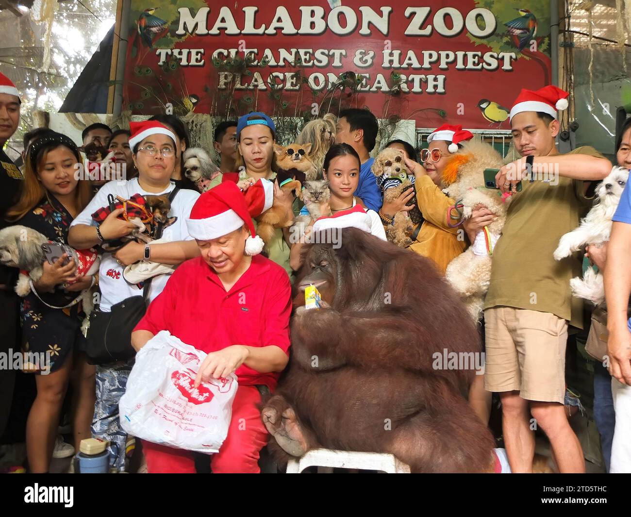 16. Dezember 2023, Malabon, Philippinen: Der Gründer des Malabon Zoo, Manny Tangco, mit dem Orang-Utan Marimar, posiert für ein Gruppenfoto mit Tierbesitzern während der Veranstaltung. Tierliebhaber kleideten ihre Haustiere in Weihnachtskleidern an, um einen erlebnisreichen Tag im Zoo von Malabon zu verbringen, um eine Tierweihnachtsfeier zu feiern. (Credit Image: © Josefiel Rivera/SOPA images via ZUMA Press Wire) NUR REDAKTIONELLE VERWENDUNG! Nicht für kommerzielle ZWECKE! Stockfoto