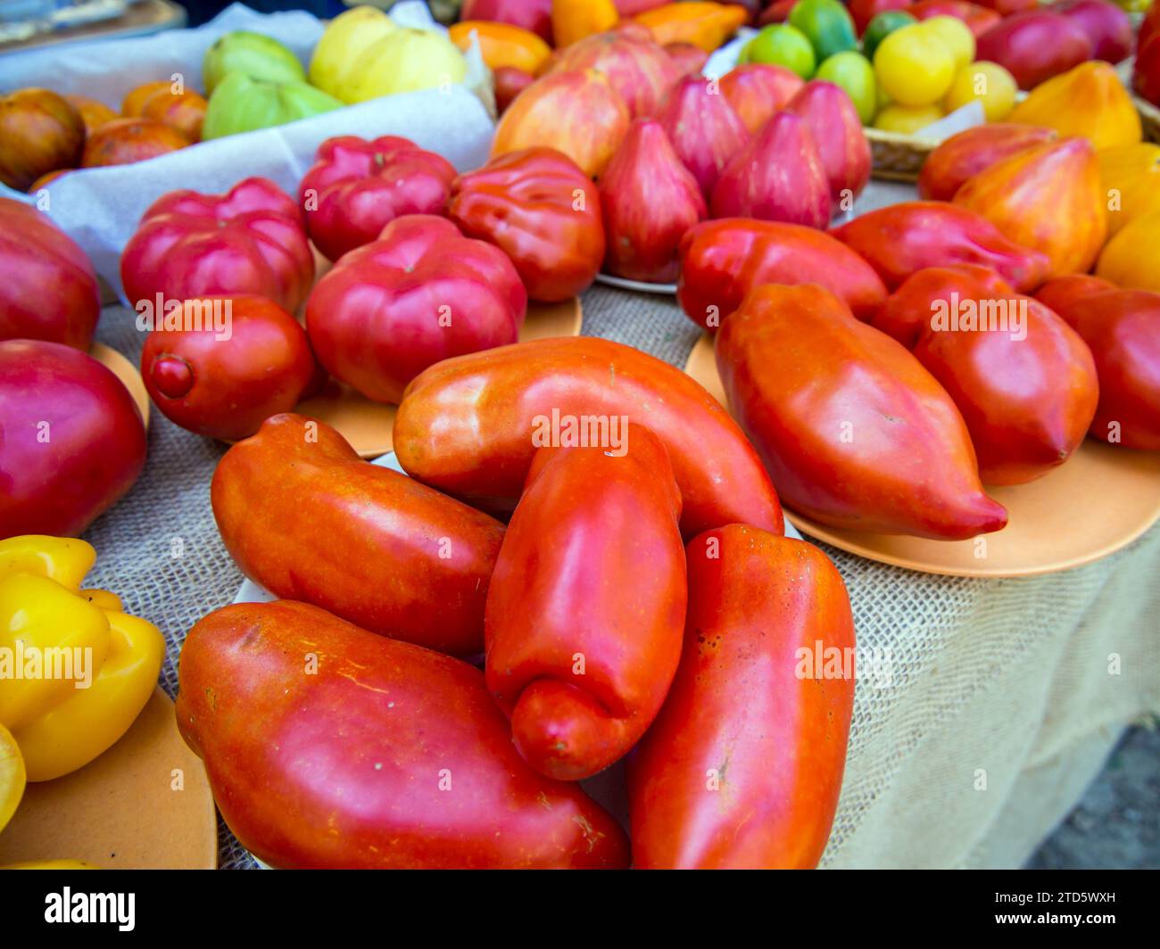 Auf dem Tisch liegen Tomaten verschiedener Sorten Stockfoto