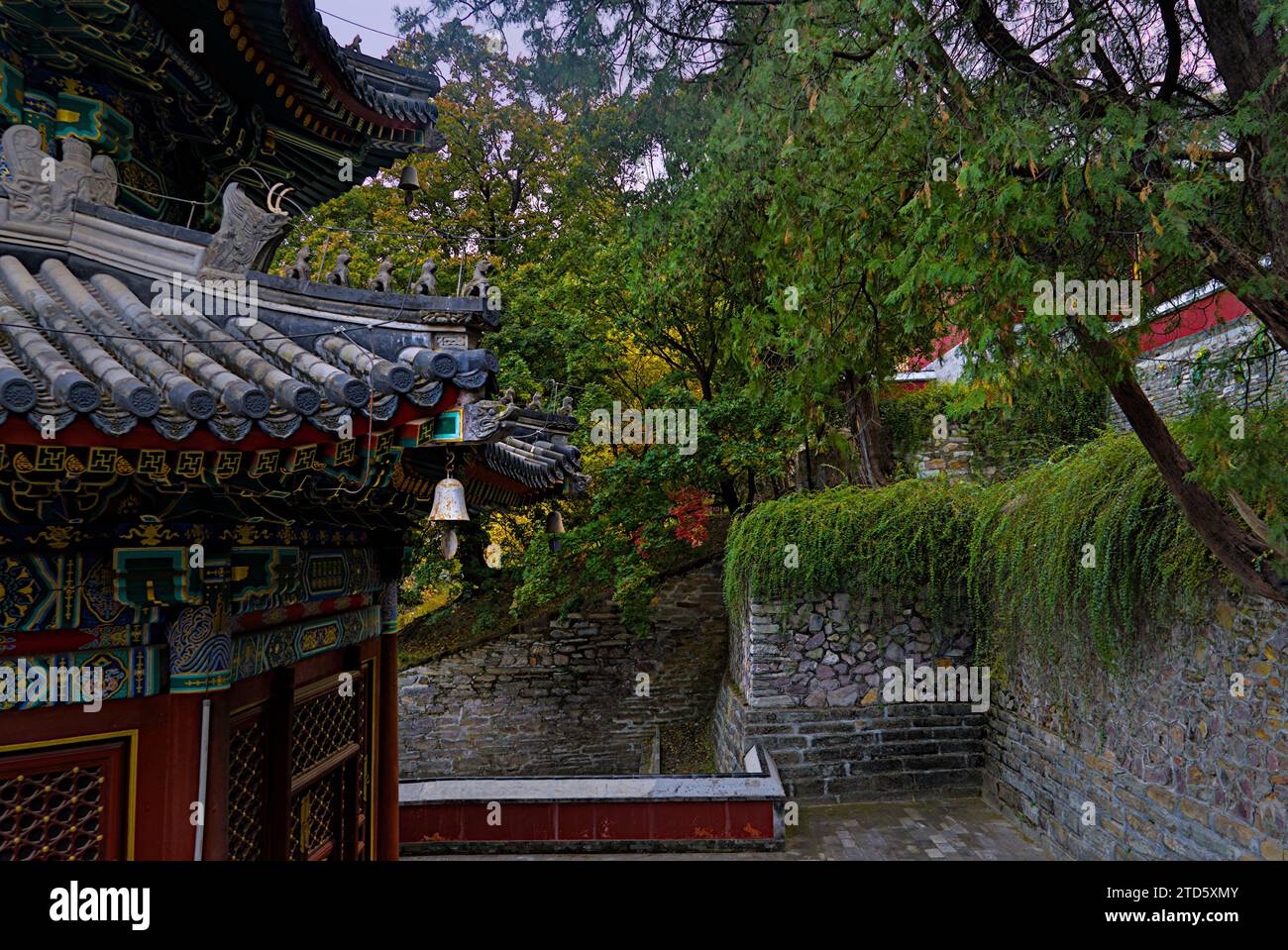Der Tempel und der Hof mit grünen Bäumen. Stockfoto