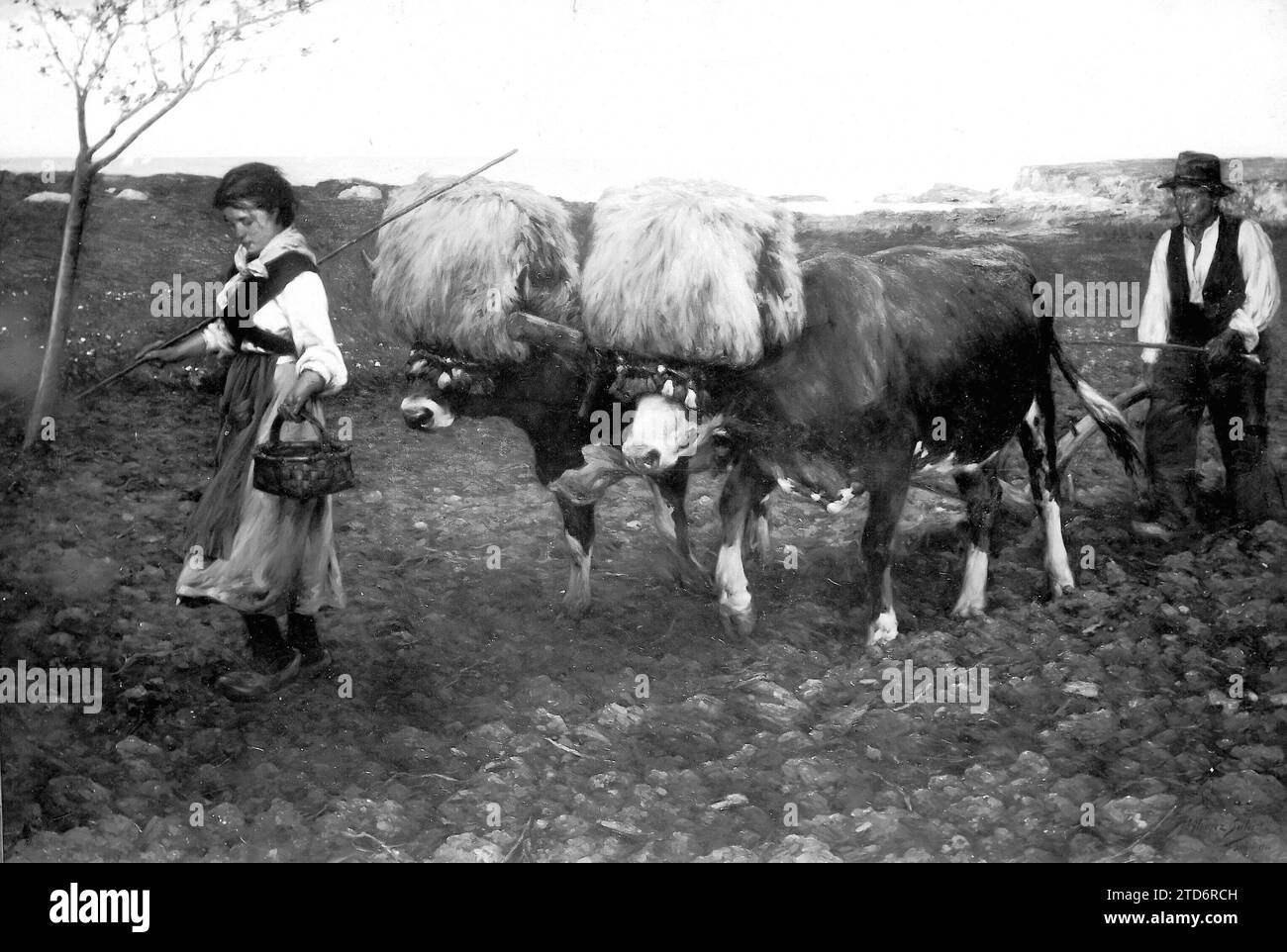 12/31/1909. Bei der Ausstellung der Schönen Künste. 'Asturien', Gemälde von Álvarez Sala - Foto Mateu - ungefähres Datum. Quelle: Album/Archivo ABC/Mateu Stockfoto