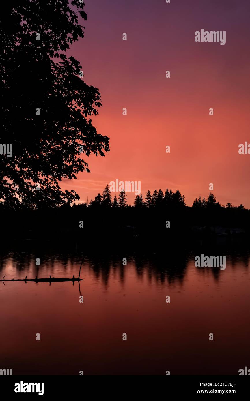 Regen und Sonnenuntergang auf Fawn Lake, Olympic Peninsula, Washington State, USA Stockfoto