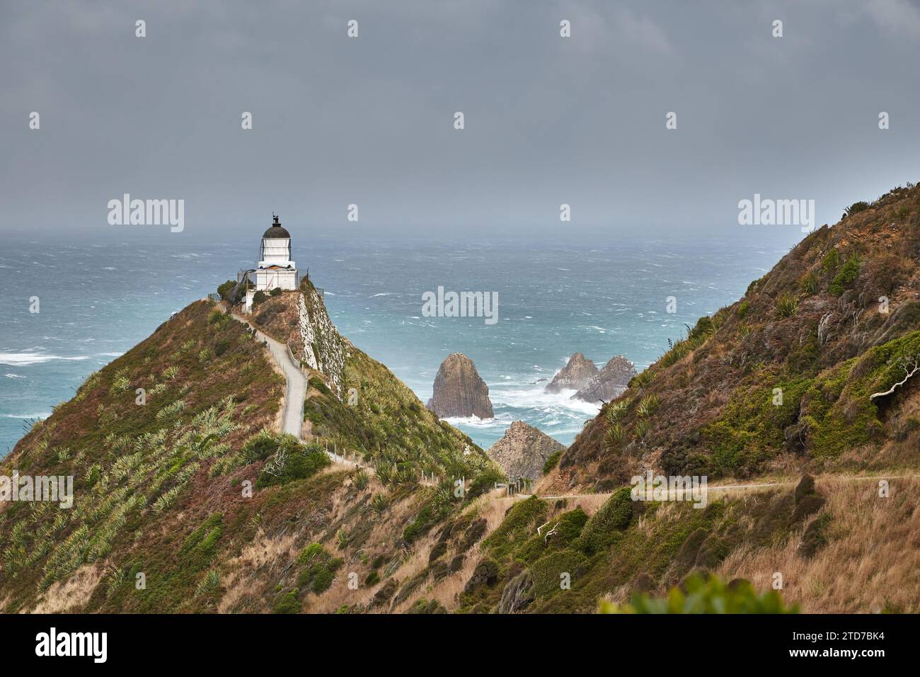 Küstenlandschaft mit Leuchtturm, Nugget Point, Neuseeland Stockfoto