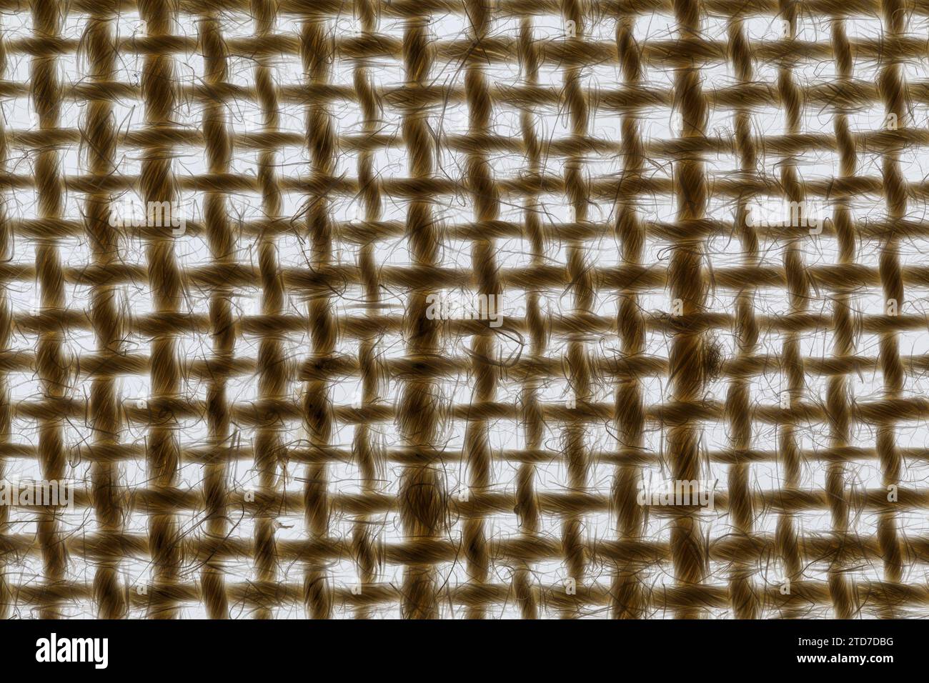 Textur von groben Sackleinen mit Hintergrundbeleuchtung. Naturgewebe. Makrofotografie Stockfoto