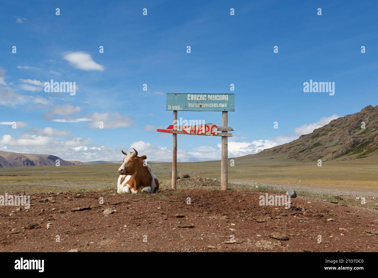 Eine Kuh ruht auf einer Wiese unter einem Schild mit dem Schild „Mars“ und „Garbage Dump“ Stockfoto