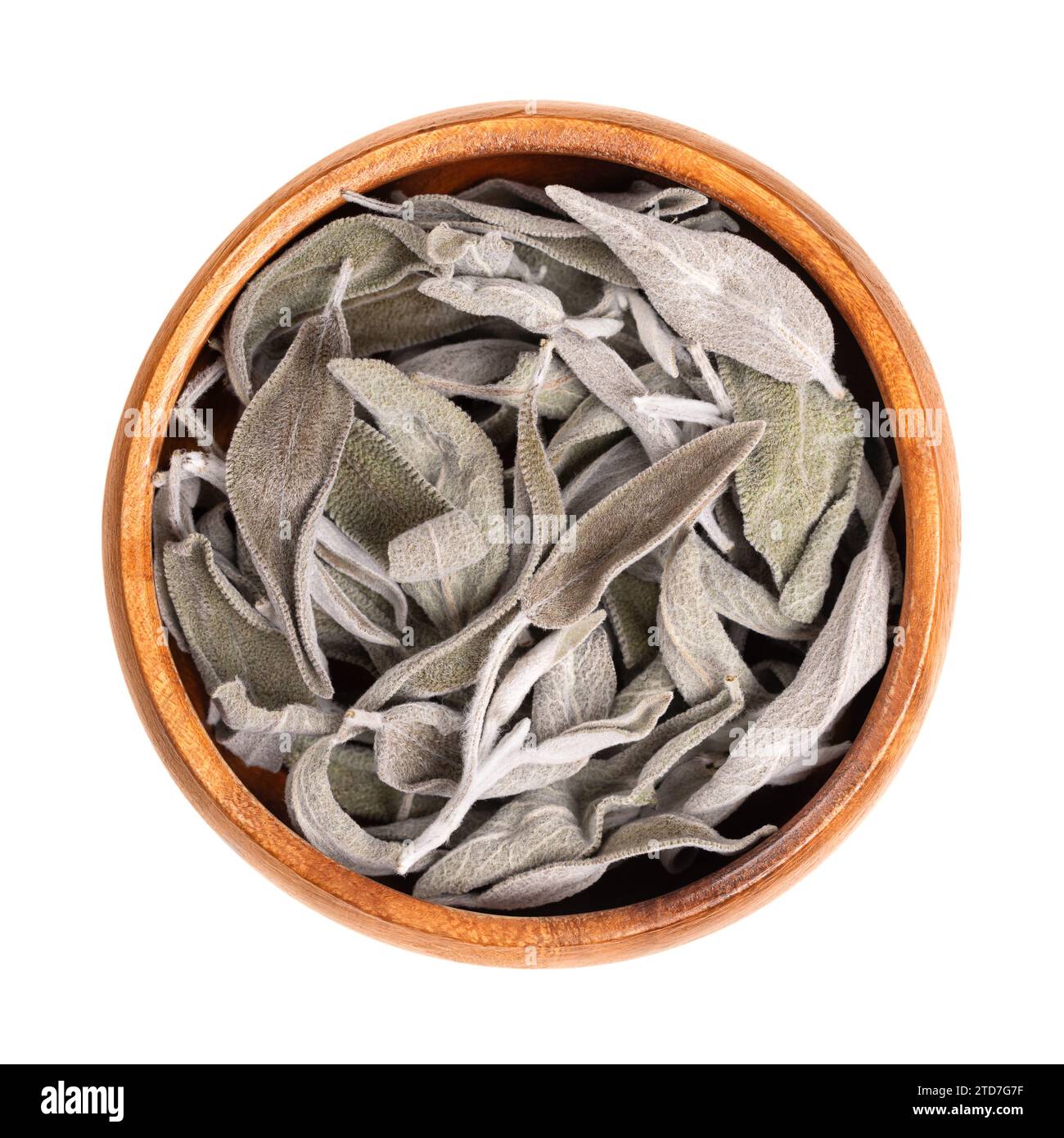 Getrocknete Salbeiblätter, in einer Holzschale. Salbei Salbei, Salvia officinalis. Graugrünes Kraut mit samtigen Blättern. Gewürz, Heilpflanze, als Weihrauch. Stockfoto