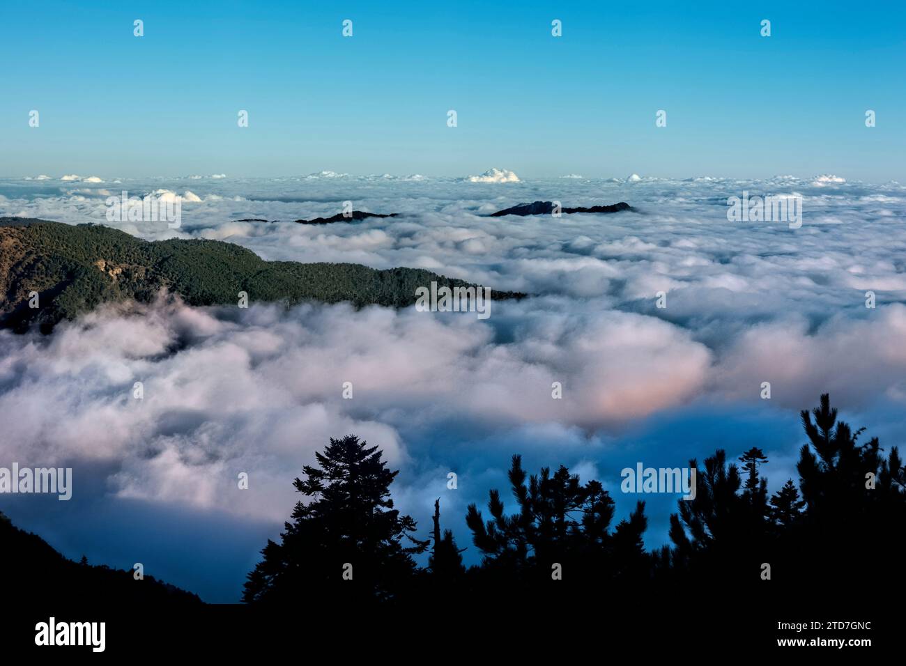 Wolkenmeer auf dem Weg zum Jiaming See, Taitung, Taiwan Stockfoto