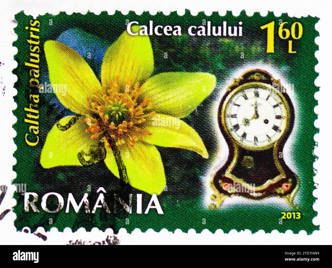 MOSKAU, RUSSLAND - 19. NOVEMBER 2023: In Rumänien gedruckte Briefmarke zeigt Marsh Marigold (Caltha palustris), Serie Blumenuhr (I), um 2013 Stockfoto