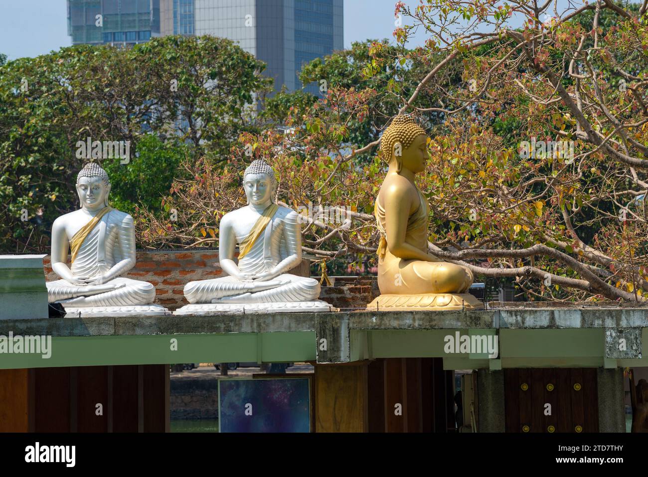 COLOMBO, SRI LANKA - 22. FEBRUAR 2020: Drei sitzende Buddha-Skulpturen im Meditationszentrum Seema Malakaya an einem sonnigen Nachmittag Stockfoto