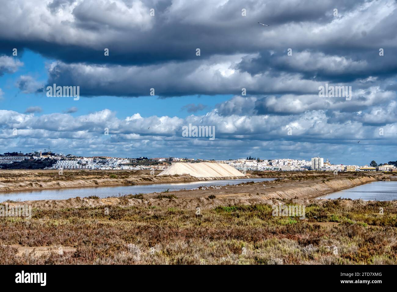 Reserva Natural do Sapal de Castro Marim e Vila Real de Santo António Stockfoto