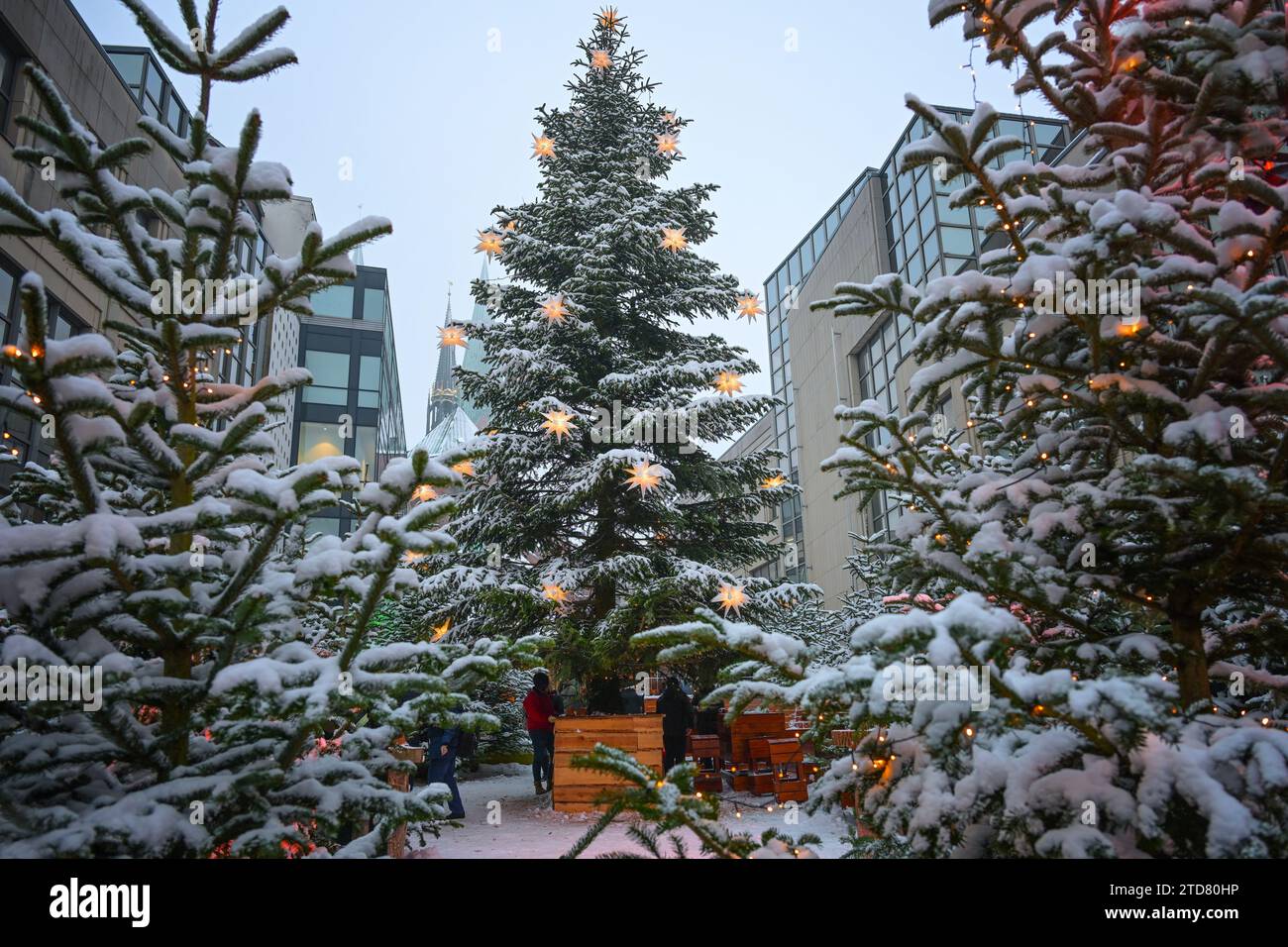 Großer Weihnachtsbaum mit Dekoration von weiß glänzenden Sternen und darunter eine Bar für Glühwein in der Stadt Lübeck, Deutschland bei einer schneebedeckten Winterda Stockfoto