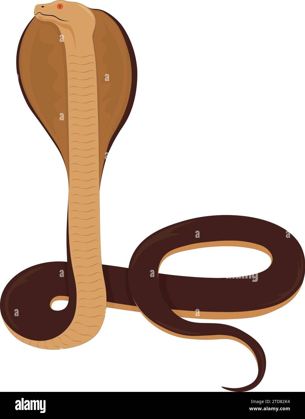 Stehende Kobra-Schlange mit ihrer offenen Kapuze Vektor-Illustration Stock Vektor